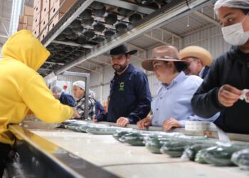 “Son los productores michoacanos el motor alimentario de Michoacán y de todo México”: Octavio Ocampo