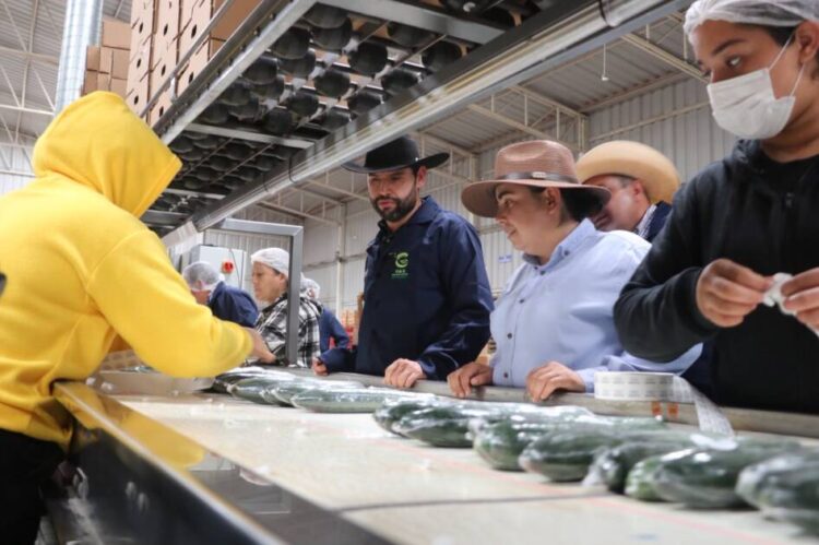 “Son los productores michoacanos el motor alimentario de Michoacán y de todo México”: Octavio Ocampo