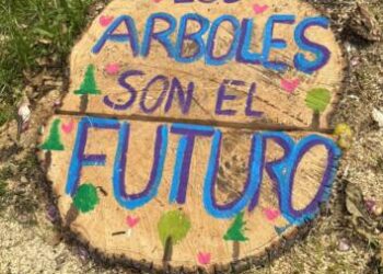 Barragán pide replantear proyecto del Morebus para proteger el medio ambiente