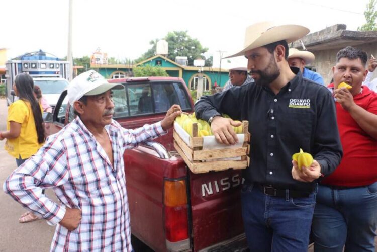 Queremos que la producción de guayaba sea un motor de desarrollo sostenible para Juárez y Michoacán:  Octavio Ocampo