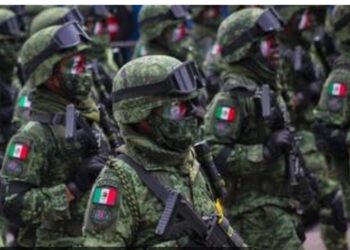 Blindaje al aguacate con más de mil 557 militares enviados a Michoacán ante amenazas del crimen organizado