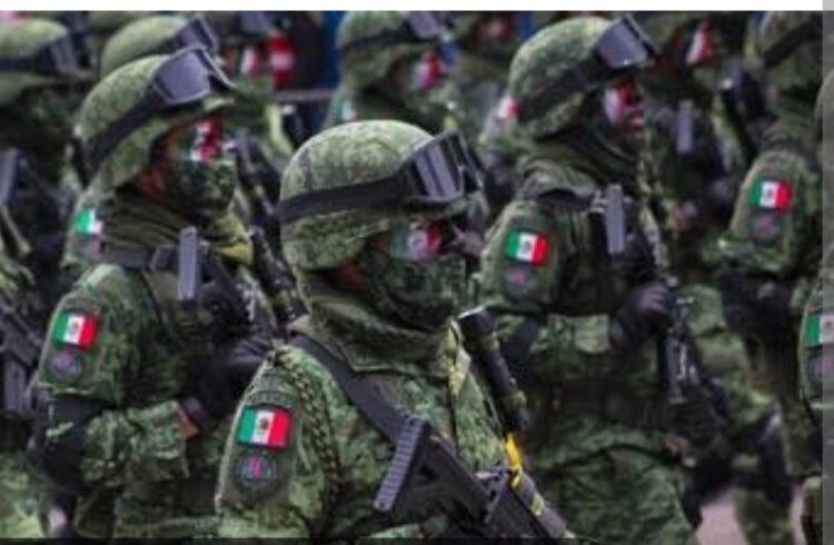 Blindaje al aguacate con más de mil 557 militares enviados a Michoacán ante amenazas del crimen organizado