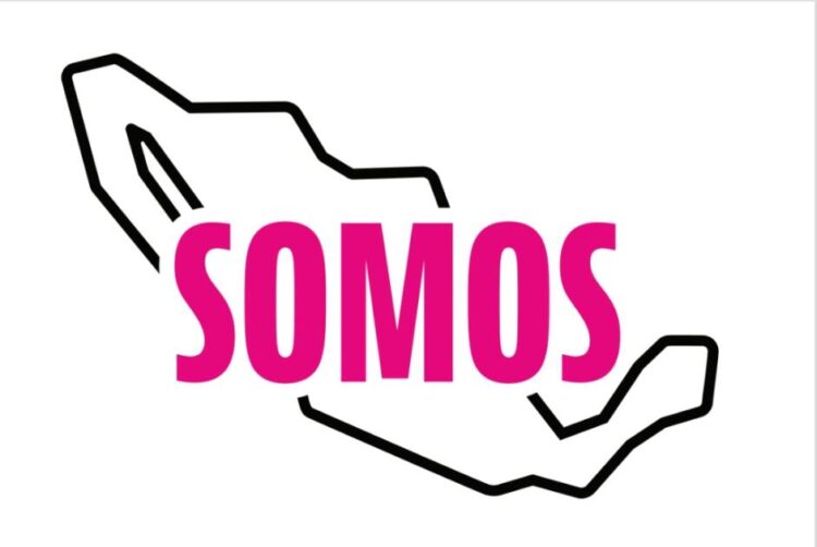 “Sufre Somos México atropello jurídico del TEPJF al obligarnos a modificar identidad”: Carmen Pille