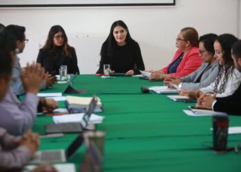 Presidenta de Asuntos Electorales, Diana Espinoza, se reúne con Consejeros del IEM