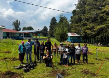 Alfonso Martínez acompaña a vecinas y vecinos de Atécuaro en jornada de reforestación