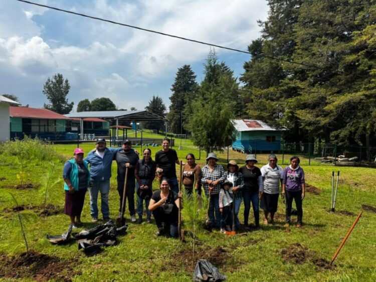 Alfonso Martínez acompaña a vecinas y vecinos de Atécuaro en jornada de reforestación