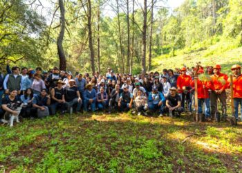 Pepe Martínez y sociedad civil plantan más de mil árboles nuevos para Morelia
