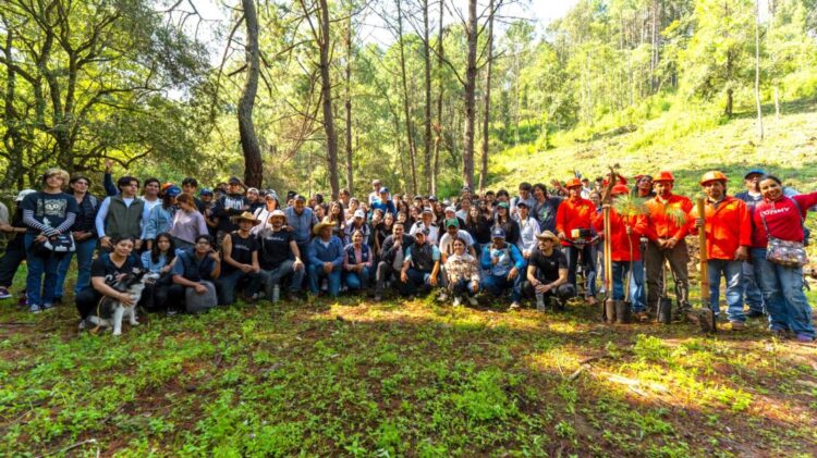 Pepe Martínez y sociedad civil plantan más de mil árboles nuevos para Morelia