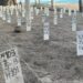 Vigilan y protegen en Michoacán a los campamentos tortugueros ante huracán “Polo”