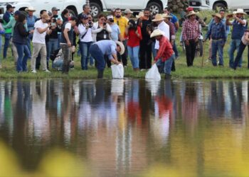 Gobierno de Morelia apoya a productores de pescado de las tenencias