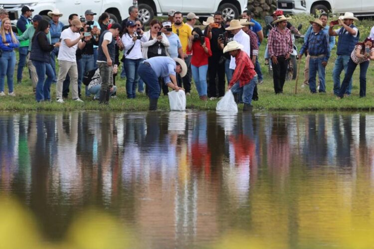 Gobierno de Morelia apoya a productores de pescado de las tenencias