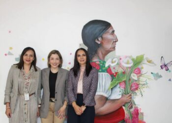 Alianzas para buenas acciones por las mujeres: Brissa Arroyo