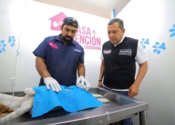 Barragán va por hospitales veterinarios públicos y gratuitos