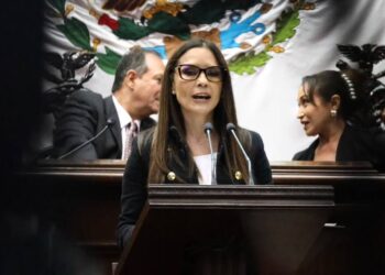 Impulsa Nalleli Pedraza reforma para crear el sistema estatal para visibilizar la realidad de las personas con discapacidad