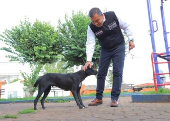 Barragán un aliado permanente en el cuidado de los animales de compañía