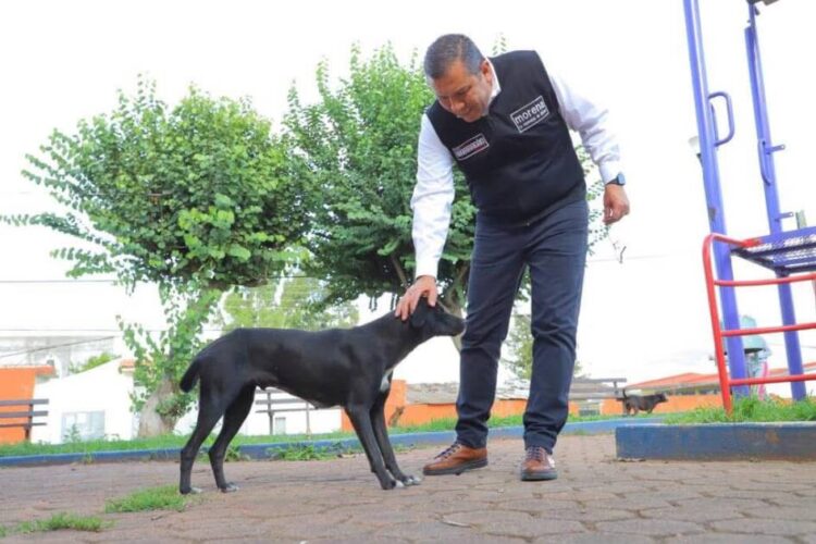 Barragán un aliado permanente en el cuidado de los animales de compañía
