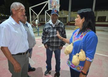 Consulta a pueblos indígenas y personas con discapacidad, paso pendiente para reformar la Ley de Educación