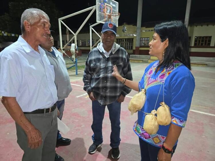 Consulta a pueblos indígenas y personas con discapacidad, paso pendiente para reformar la Ley de Educación