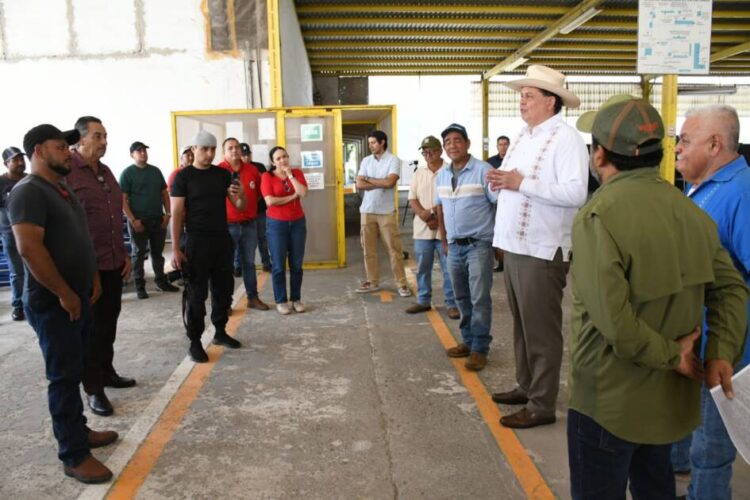 Gobierno del Estado pretende despojar a productores de mango de una empacadora en Múgica