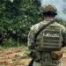 Desplazados de Tierra Caliente impedidos por minas explosivas para regresar a sus hogares, piden ayuda y el Ejercicio Mexicano pasivo