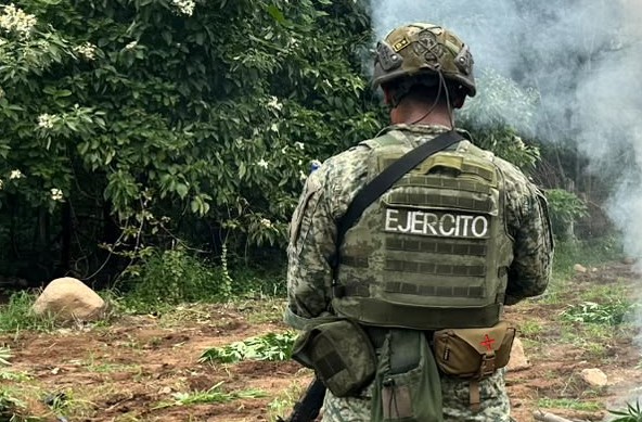 Desplazados de Tierra Caliente impedidos por minas explosivas para regresar a sus hogares, piden ayuda y el Ejercicio Mexicano pasivo