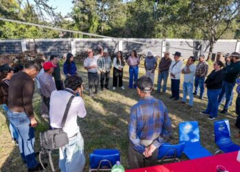 Habitantes de Tenencias y comunidades de Morelia demandan ser rescatados del abandono instituciona: Gladyz Butanda
