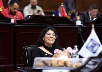 Lactancia materna como derecho humano, propone diputada Vanhe Caratachea